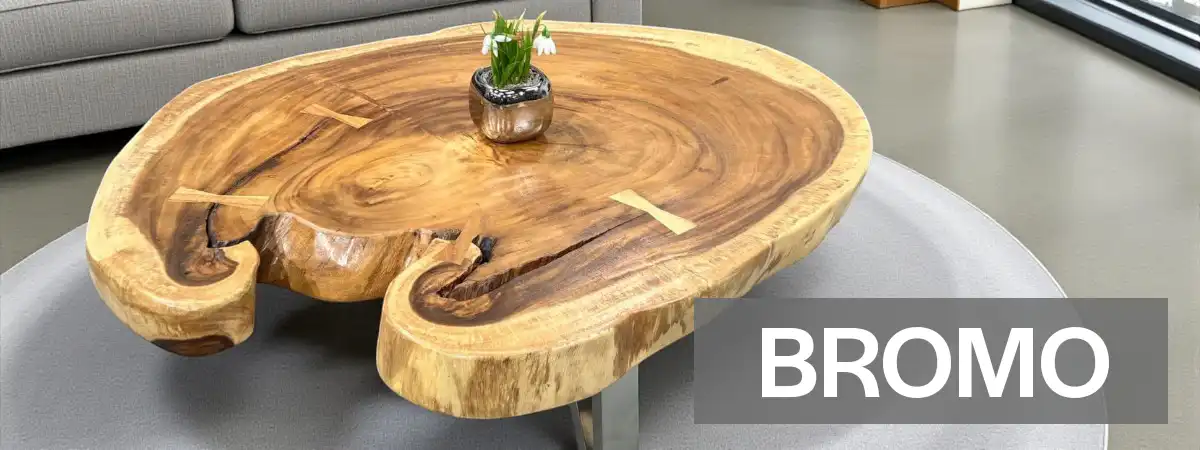 Couchtisch aus einem Baumstamm von GERKEN Wohndesign