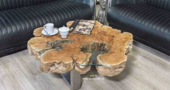 Baumstamm Couchtisch 80 cm