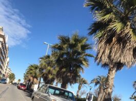 Karlchen wird nach Mallorca gebracht Mercedes (200D /8) Karlchen fährt nach Mallorca