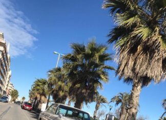 Karlchen wird nach Mallorca gebracht Mercedes (200D /8) Karlchen fährt nach Mallorca