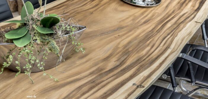 Tischplatte aus einem Baumstamm - Der Tischonkel
