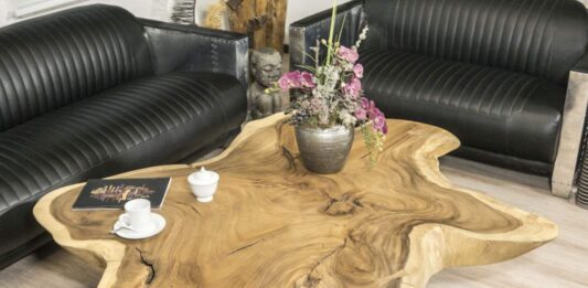 Mesa de café de tronco hecha de una sección de árbol „Suar“ con borde natural Mesa de café de tronco de árbol redonda con borde de árbol