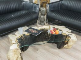 Einzelstück Couchtisch aus einem Baumstumpf halbrund mit Baumkante Einzelstück Couchtisch aus einem Baumstumpf halbrund mit Glasplatte