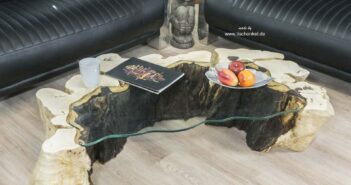 Einzelstück Couchtisch aus einem Baumstumpf halbrund mit Glasplatte