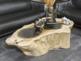 Table de salon rare en tronc d'arbre avec plateau en verre Table de salon rare en tronc d'arbre avec plateau en verre