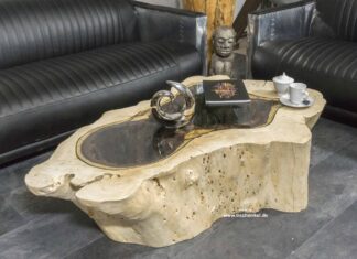 Seltener Wohnzimmertisch aus einem Baumstumpf mit Glasplatte Seltener Wohnzimmertisch aus einem Baumstumpf mit Glasplatte