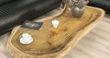 Ovaler Couchtisch aus einem Baumstamm