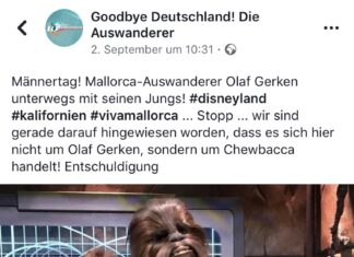 Dominik und Ivar Gerken treffen Chewbacca im Disneyland Dominik und Ivar Gerken treffen Chewbacca im Disneyland