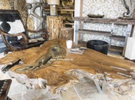 Wohnzimmertisch aus einer Baumwurzel Wohnzimmertisch aus einer Baumwurzel