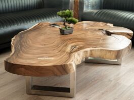 Interessanter Couchtisch aus einer Baumscheibe, Breite 140 cm Couchtisch aus einer Baumscheibe