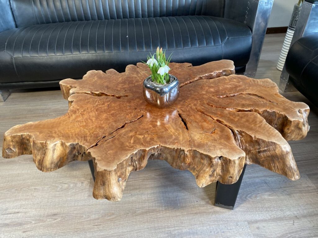 Vollholz Couchtisch aus einem Baumstamm Massives Echtholz Couchtisch