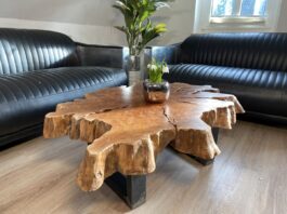 Mesa de café de madera maciza de un tronco de árbol Gran mesa de café Lakeside