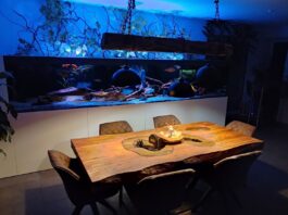 Vollmassiver Esstisch 200 cm „Deep Island“ Esstisch 200 x 100 cm Deep Island aus Holz