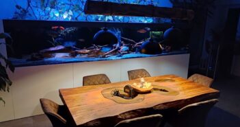 Esstisch 200 x 100 cm „Deep Island“ Esstisch 200 x 100 cm Deep Island aus Holz