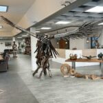 Das Möbelhaus GERKEN Wohndesign in Detern (Ostfriesland)