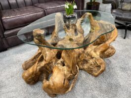 Table basse en souche avec un design génial Table basse en souche avec un design génial