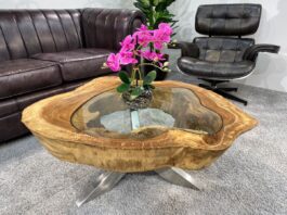 Mesas de madera únicas de discos de árbol Mesa de café de tronco única