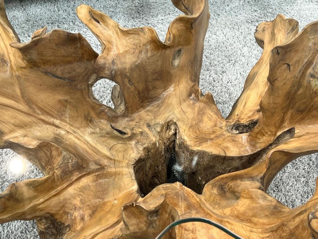 Einzigartiger Baumwurzel-Couchtisch! Wurzelholz Wohnzimmertisch Leaf