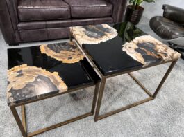 Unikat Designmöbel aus versteinertem Holz Unikat Designmöbel aus versteinertem Holz