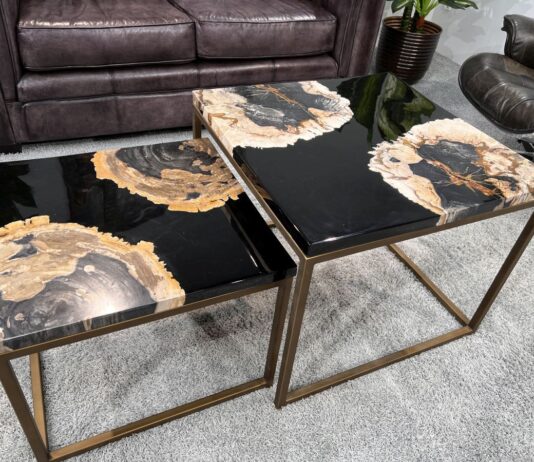 Unikat Designmöbel aus versteinertem Holz Unikat Designmöbel aus versteinertem Holz