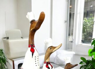 Holzenten :: Kollektion 2025 Holzente Koch