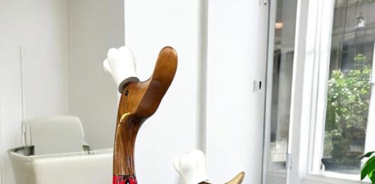 Handgefertigte Holzenten: Kollektion 2025 Holzente Koch