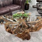 Couchtisch aus Baumwurzel ROOTS