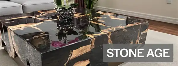 Couchtische Versteinertes Holz