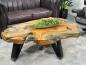 Preview: Baumstamm Couchtisch Lakeside mit Glas 120 cm