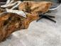 Preview: Baumwurzel Couchtisch Root aus Teakholz
