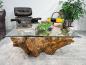 Preview: Baumwurzel Couchtisch Root aus Teakholz