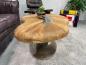 Preview: Bonsai coffee table with wooden top and stainless steel base.
