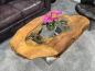 Preview: Besonder Couchtisch Expression aus holz Baumscheibe Baumstamm