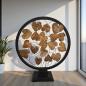 Preview: Dekoration Leaves aus Holz mit Stahl freistehend