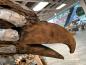 Preview: Dekoration aus Holz Adler 500 cm