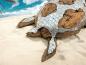 Preview: Außergewöhnliche Holzskulptur „Schildkröte“ aus Holz