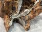 Preview: Baumwurzel Couchtisch Root aus Teakholz