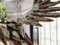 Preview: Einmalige Holzdeko Skulptur / Dekofigur "Eagle"