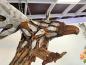 Preview: Einmalige Holzdeko Skulptur / Dekofigur "Eagle"