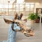 Preview: Einmalige Dekoration Skulptur Giraffe