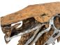 Preview: Sideboard aus einer Baumwurzel mit Aluminium
