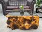 Preview: Living room table made from Suar tree trunk with glass top, 83x75x39 cm.