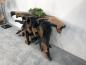 Preview: Wurzelholz-Sideboard-Teakholz-mit Aluminium