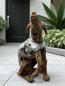 Preview: Skulptur Holzfigur Hund mit Aluminium