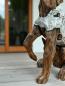 Preview: Skulptur Holzfigur Hund mit Aluminium