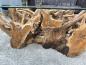 Preview: Eckiger Baumwurzeltisch-100 x 80 cm Roots