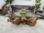 Preview: Baumwurzel Couchtisch Root aus Teakholz