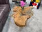Preview: Tree trunk coffee table with glass top, approx. 103 x 85 x 44.5 cm