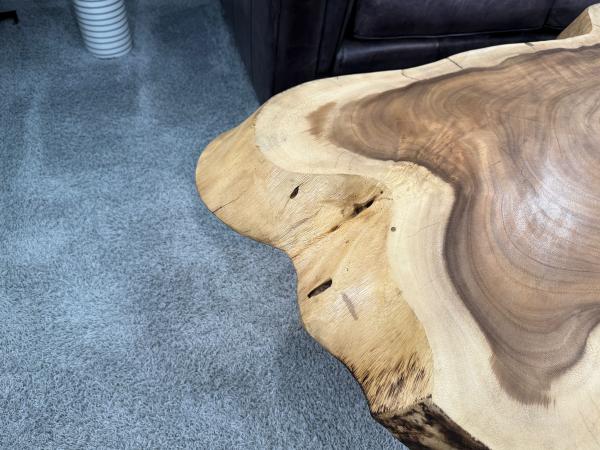 Designtisch Baumstamm Couchtisch