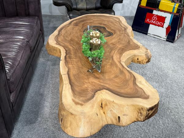 Designtisch Baumstamm Couchtisch